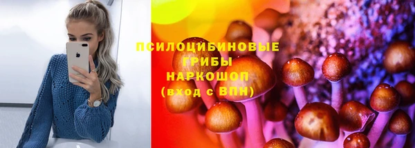 стаф Верея
