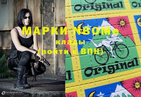 стаф Верея