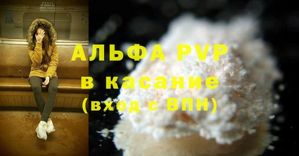 стаф Верея