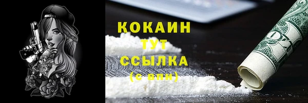 стаф Верея