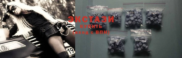стаф Верея