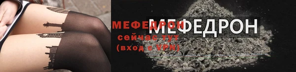 стаф Верея