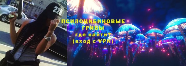 соль ск Вязьма