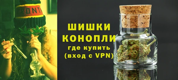 ПСИЛОЦИБИНОВЫЕ ГРИБЫ Вязники